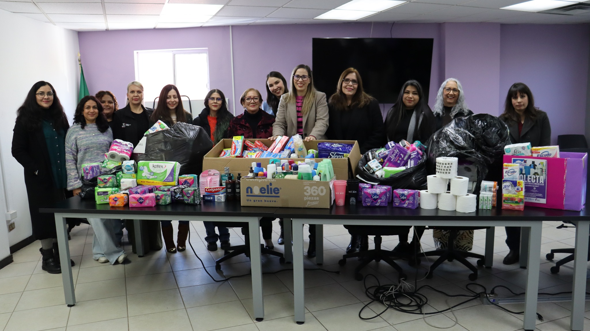 2025 productos limpieza 3